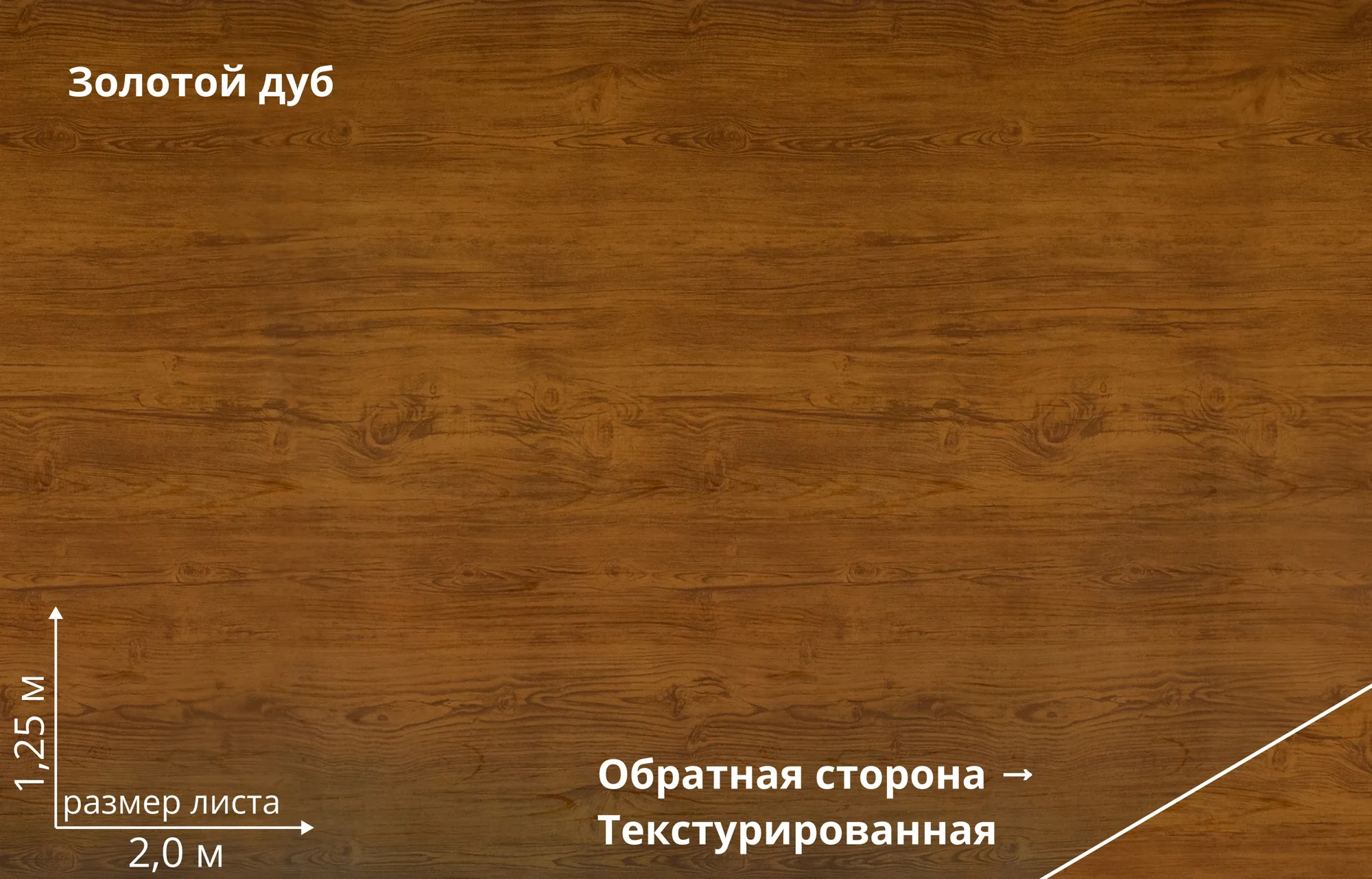 Золотой дуб (Golden Wood)