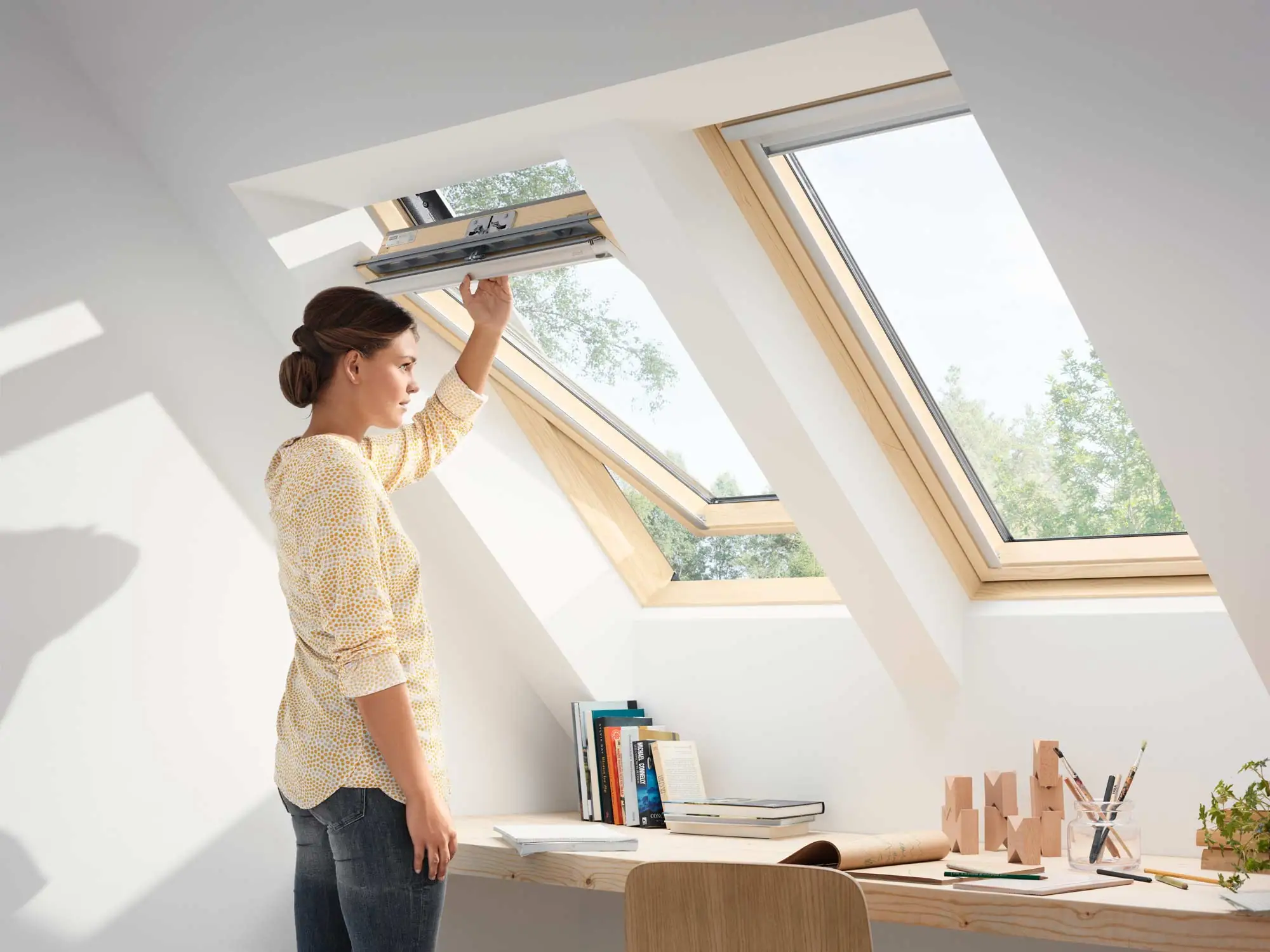 Velux Слайд № 4